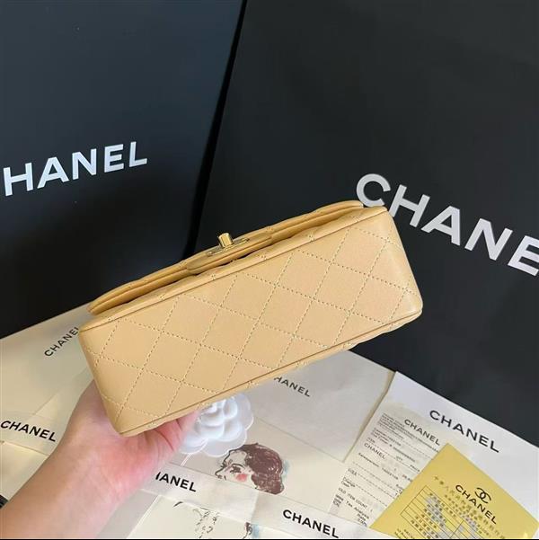 2026127205647893 380